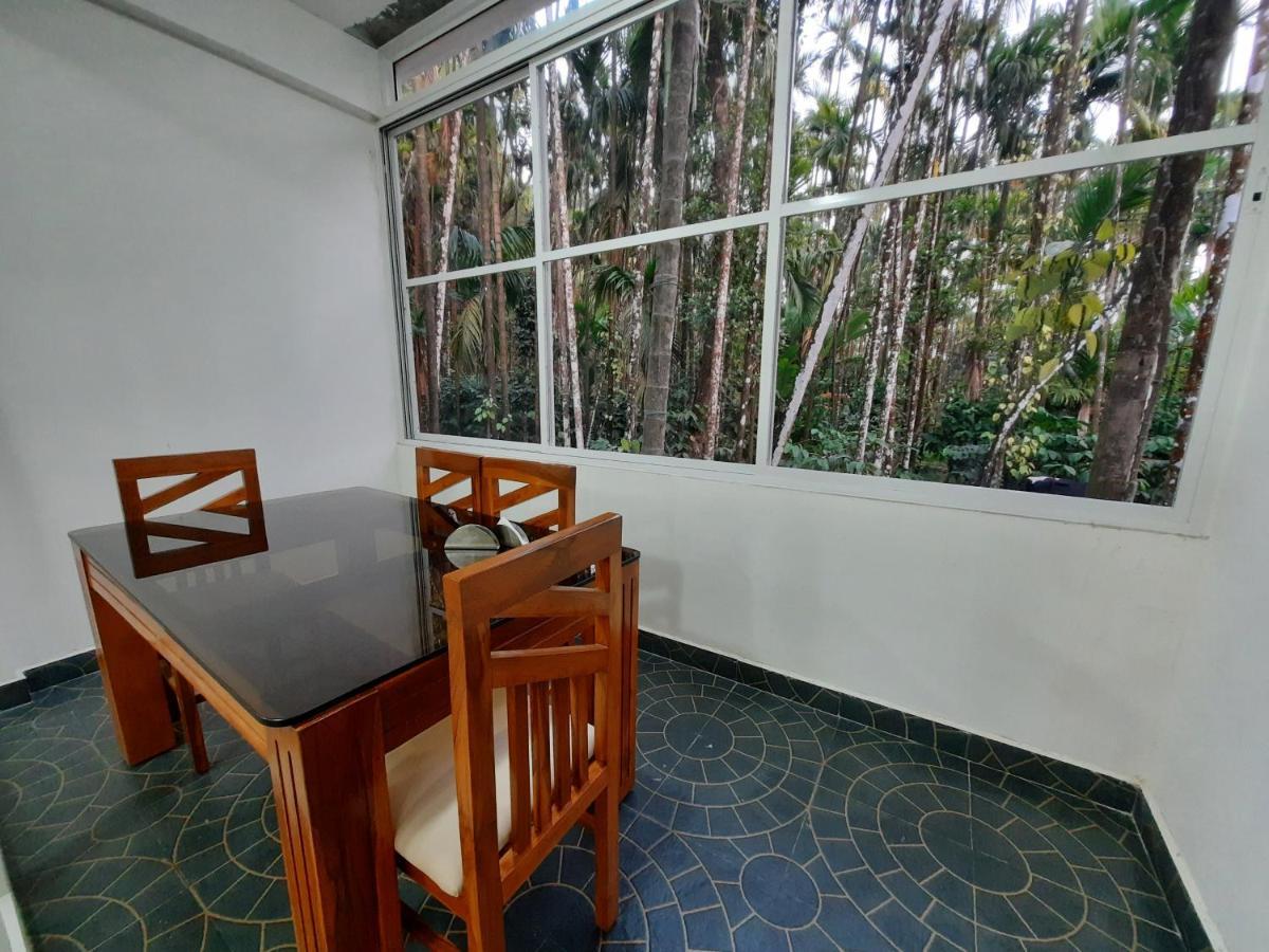 Hosamane Farm Inn Sringeri Buitenkant foto