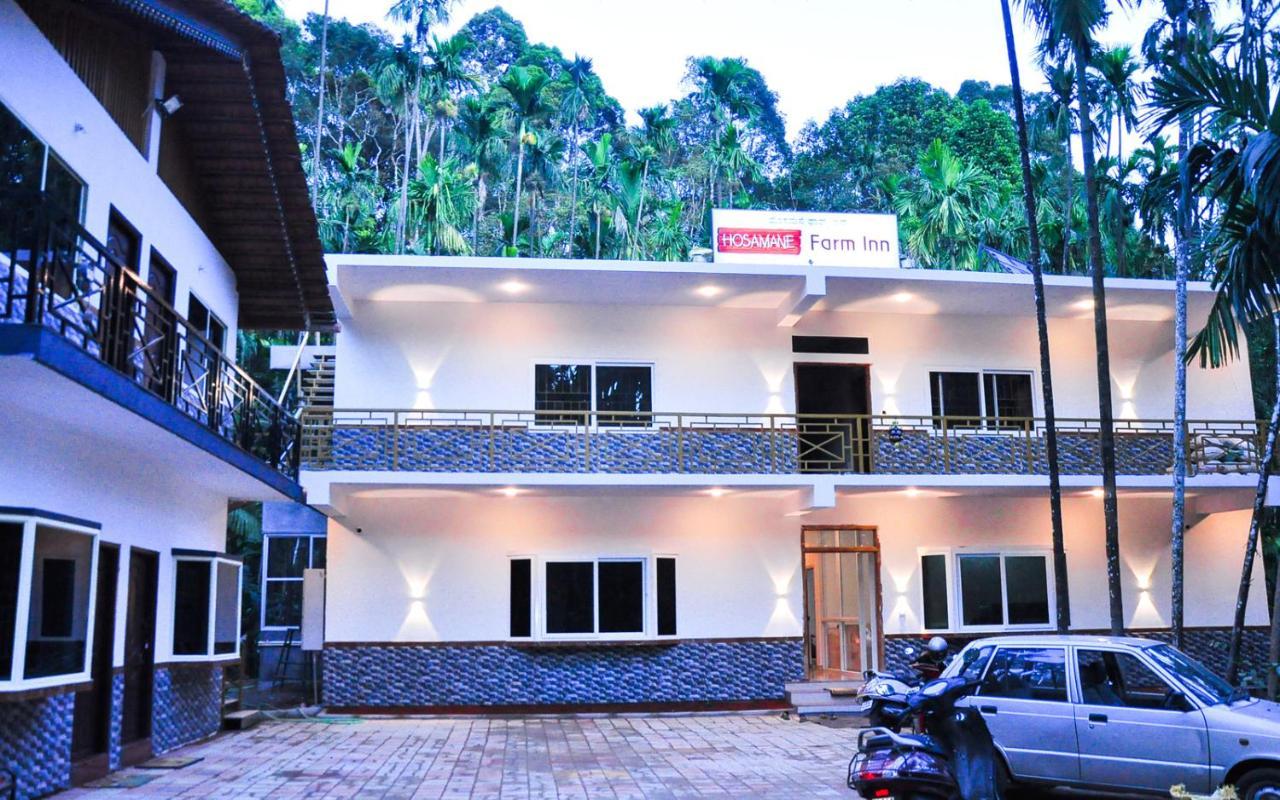 Hosamane Farm Inn Sringeri Buitenkant foto