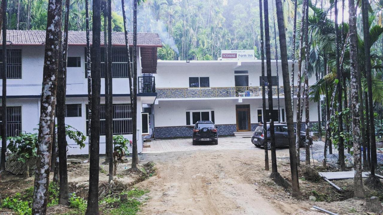 Hosamane Farm Inn Sringeri Buitenkant foto