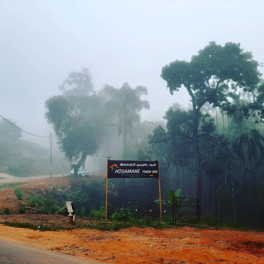 Hosamane Farm Inn Sringeri Buitenkant foto