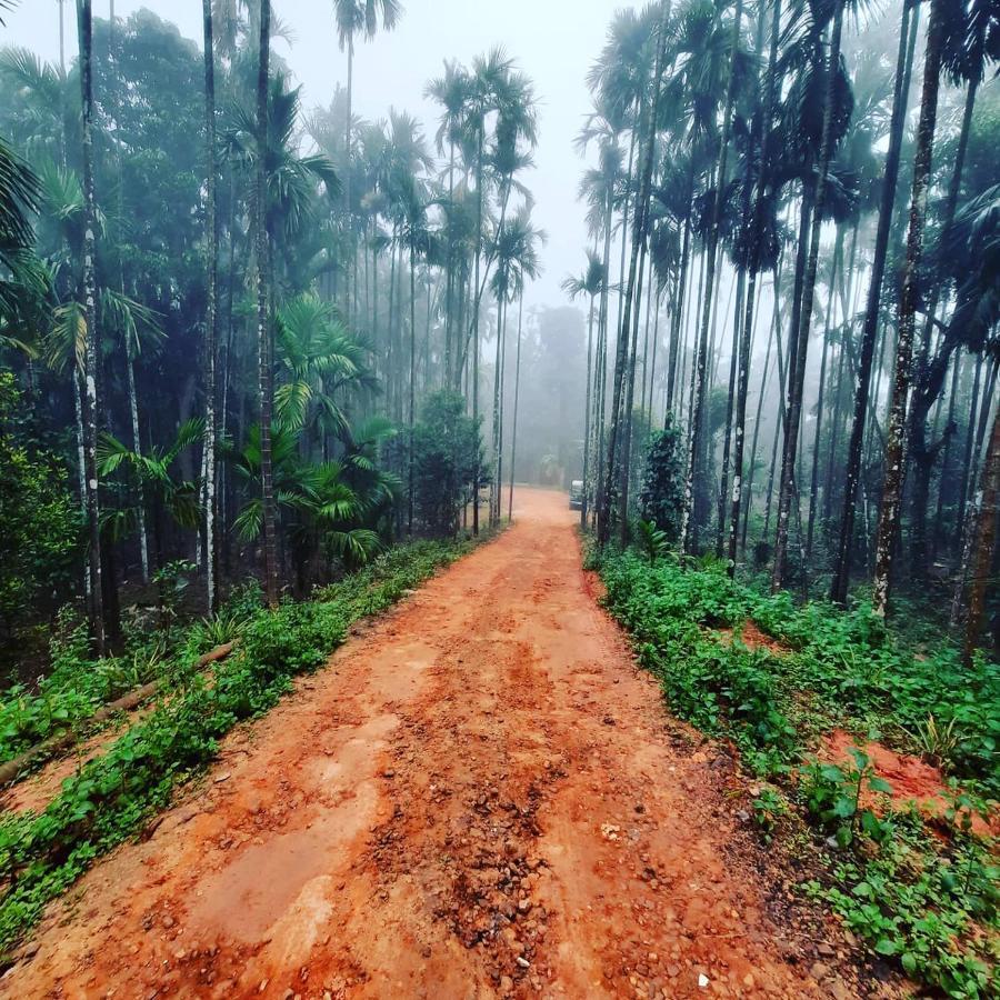 Hosamane Farm Inn Sringeri Buitenkant foto