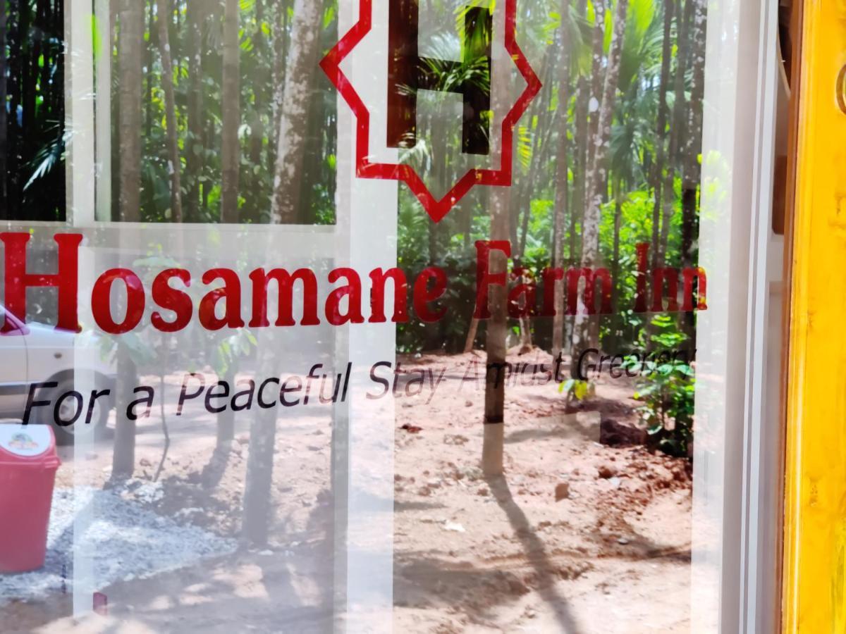 Hosamane Farm Inn Sringeri Buitenkant foto