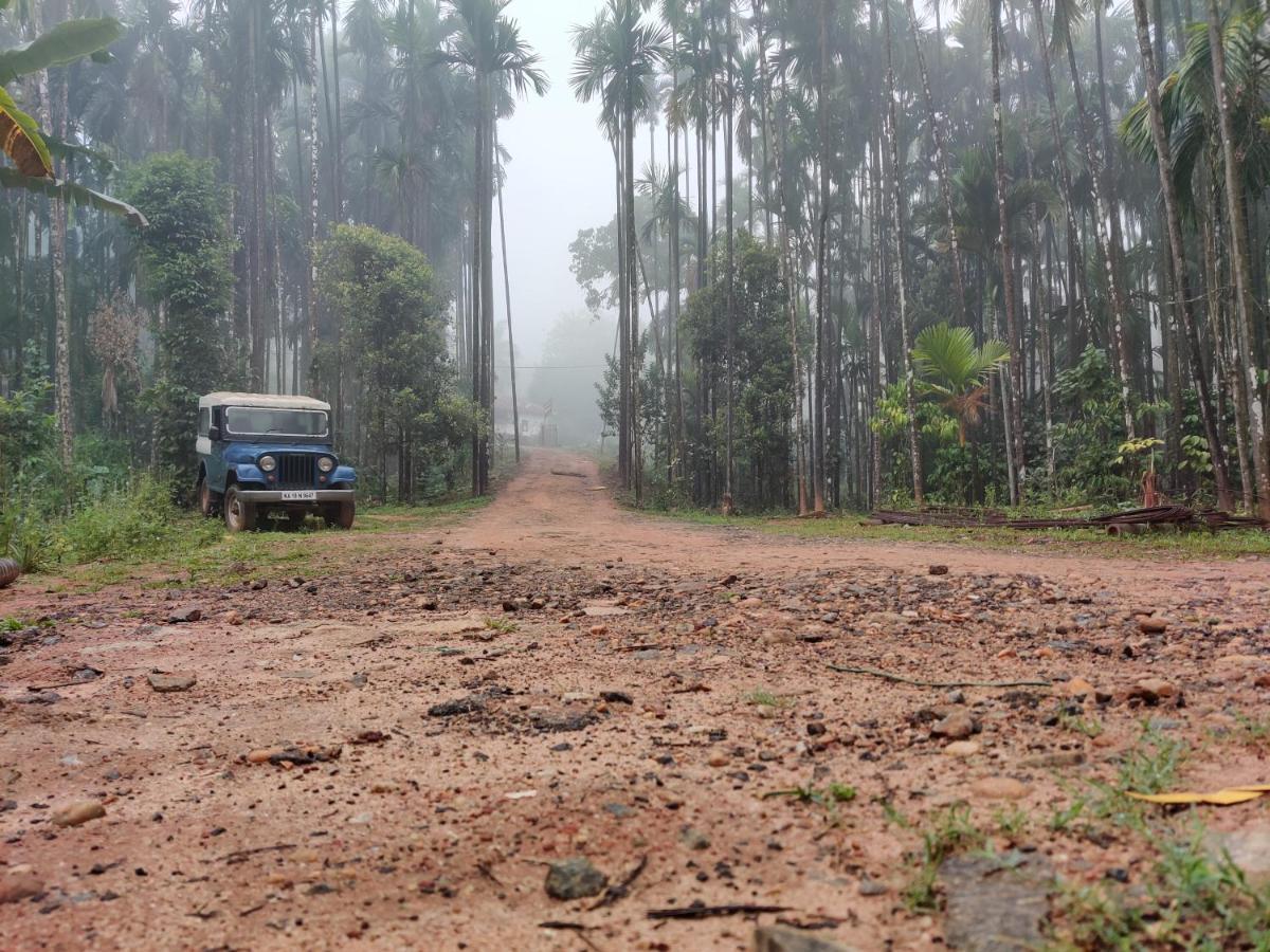 Hosamane Farm Inn Sringeri Buitenkant foto