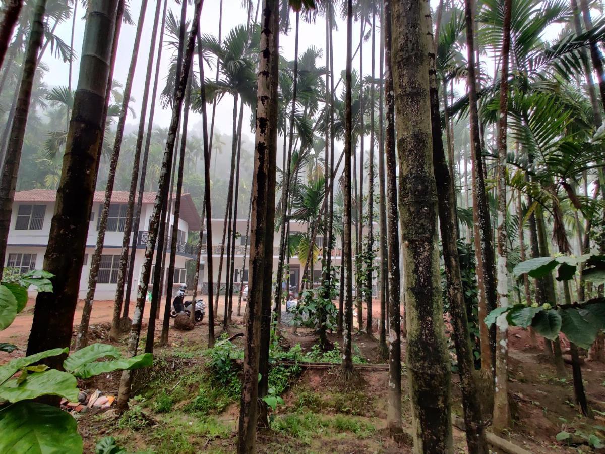 Hosamane Farm Inn Sringeri Buitenkant foto