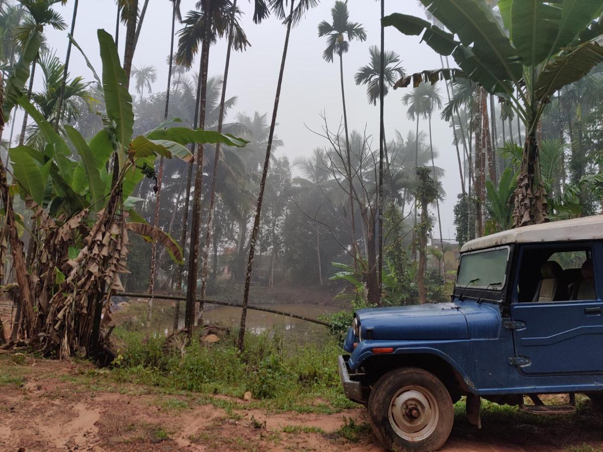 Hosamane Farm Inn Sringeri Buitenkant foto