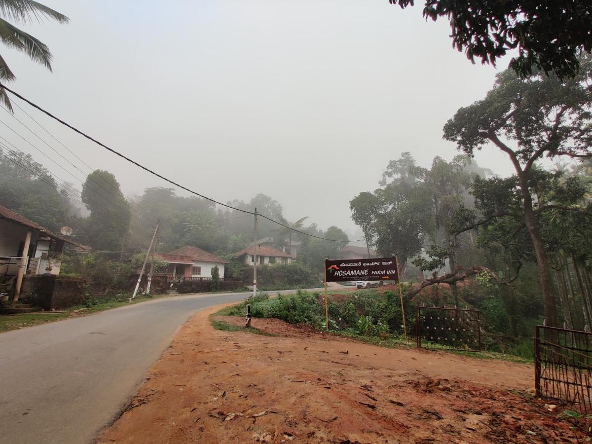 Hosamane Farm Inn Sringeri Buitenkant foto