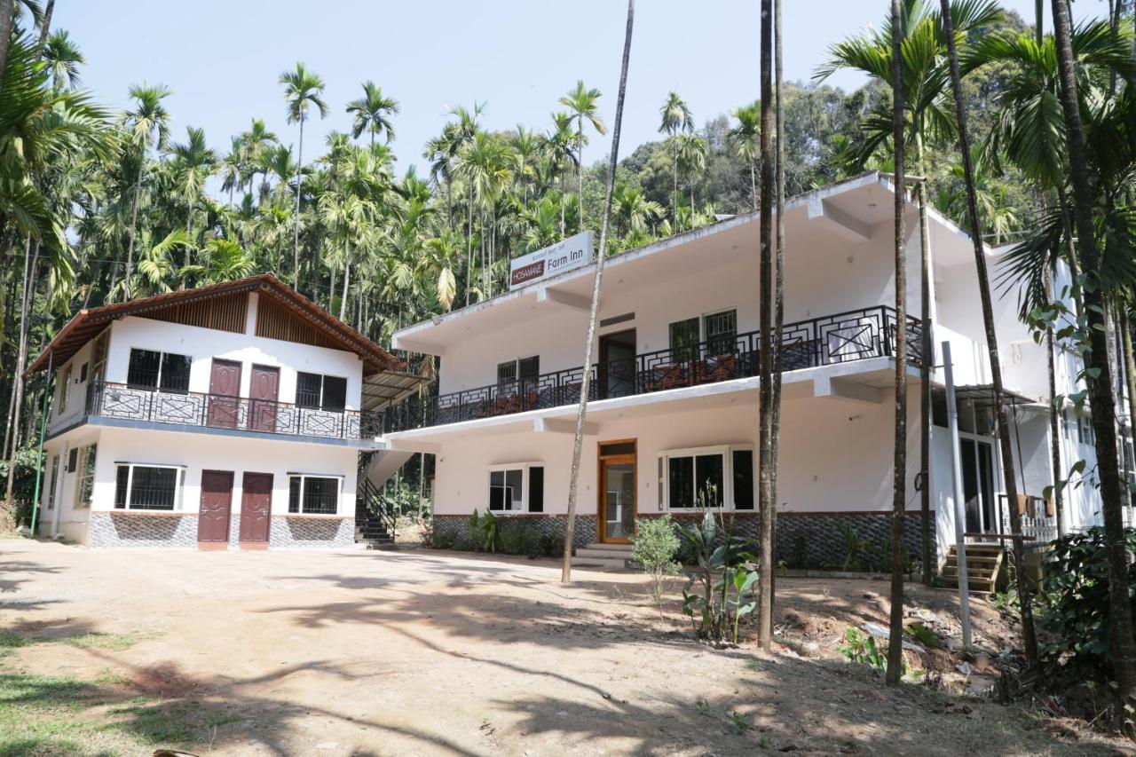 Hosamane Farm Inn Sringeri Buitenkant foto