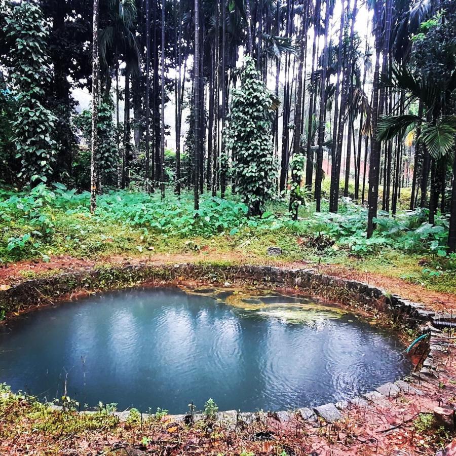 Hosamane Farm Inn Sringeri Buitenkant foto