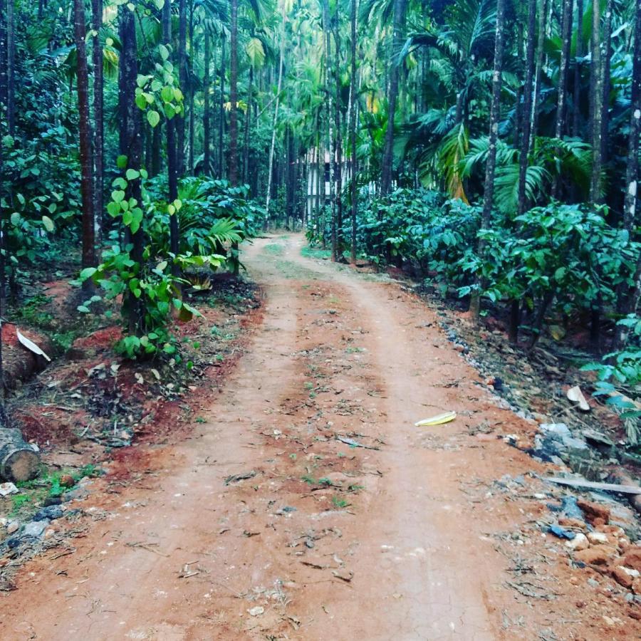Hosamane Farm Inn Sringeri Buitenkant foto